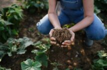Regenerative Agriculture in Sustainable Food Systems