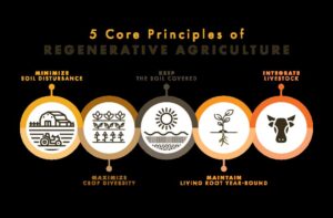 Regenerative Agriculture - 5 Core Principles