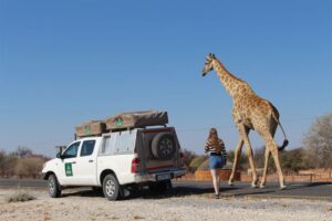 Tourism trends for 2024 - Road trips in Botswana