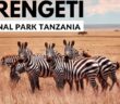 Travel to Tanzania from the United States: Serengeti National Park