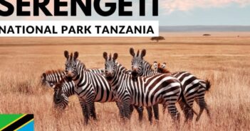 Travel to Tanzania from the United States: Serengeti National Park